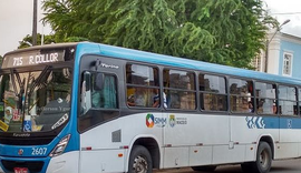 Após liberação da via, frota de ônibus volta a circular normalmente em Fernão Velho