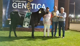 Expoalagoas Genética fortalece a pecuária com foco em inovação e negócios