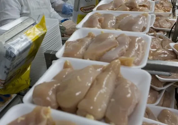 Após doença de Newcastle, governo suspende exportações de carne de frango