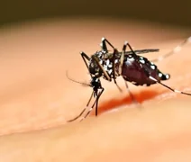 Casos de dengue explodem e aumentam 191,9% em um ano no país