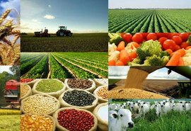 PIB do agronegócio cresceu 2,4% em 2019