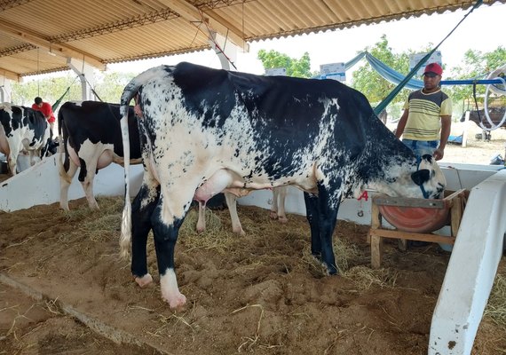 Senar e Faeal participam de Dia de Campo na Expo Bacia Leiteira