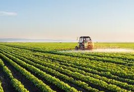 Valor da Produção Agropecuária de 2018 é estimada em R$ 530,1 Bi