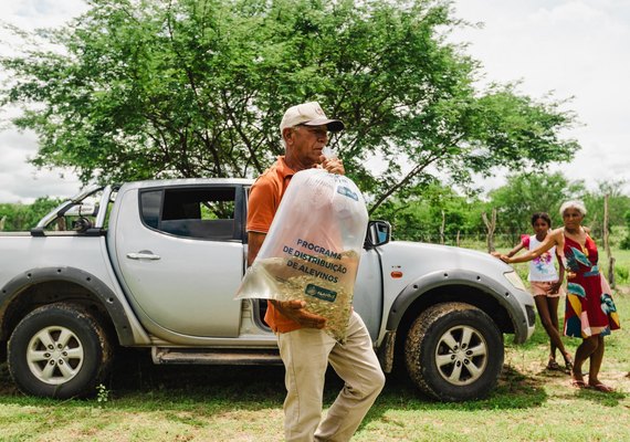 Alagoas distribui 250 mil alevinos em março e impulsiona piscicultura local