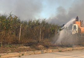 Incêndios criminosos em canaviais causam danos em Alagoas