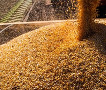 Etanol de milho pode destronar o de cana nos próximos anos