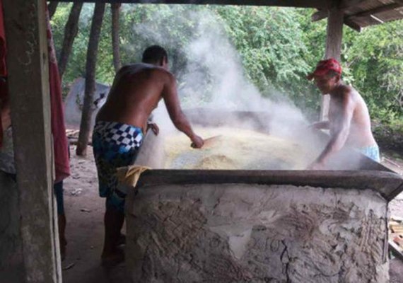 IBGE inicia censo em territórios quilombolas