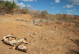 38 municípios do Sertão de Alagoas encontram-se em situação de emergência