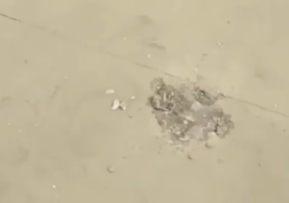 Vídeo: praça de Maceió recém-inaugurada é alvo de depredação e roubo