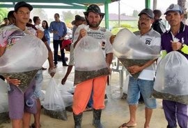 Seagri distribui 40 mil alevinos de tilápia a pequenos agricultores de Viçosa