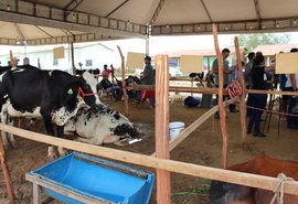 Torneio Leiteiro de Pau Ferro valoriza agricultura familiar