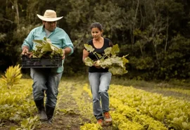 Plano de Sucessão é alternativa estratégica para sustentabilidade de fazendas familiares