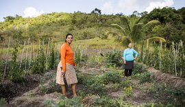 Cresce em 80% a participação de mulheres na agricultura