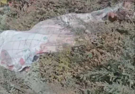 Idoso é encontrado morto às margens da BR-101; saiba mais