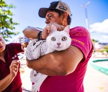 Campanha de vacinação antirrábica termina no próximo fim de semana