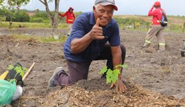 Marechal Deodoro recebe título de município com maior desenvolvimento sustentável de Alagoas