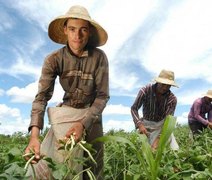 Agricultor familiar não sofrerá impactos referentes ao recolhimento de previdência rural