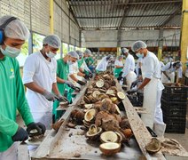 Chamada pública prioriza associações e cooperativas de comunidades tradicionais em AL