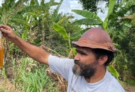 Cooperativa obtém a 1ª cajuína da agricultura familiar certificada pelo Mapa