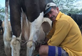 CPLA destaca força do agricultor familiar no aumento da produtividade leiteira
