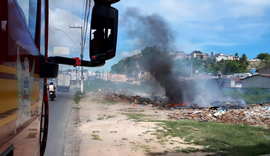 Bombeiros controlam princípio de incêndio em vegetação próxima ao Parque Municipal de Maceió