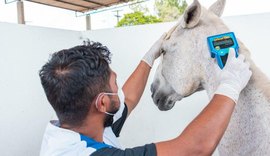 Centro de Zoonoses atua na prevenção de doenças transmitidas por animais