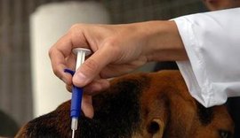 Chipagem atende mais de 200 animais do Pinheiro, Bebedouro e Mutange