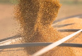 Soja sobe 5% com clima adverso no Brasil e incertezas globais