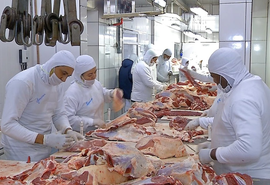Mercado de carnes no Nordeste busca profissionalização
