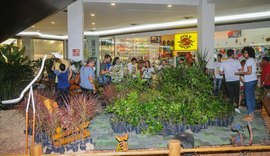 Prefeitura de Maceió inicia Semana Maceió Mais Sustentável