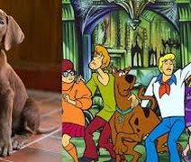 Netflix divulga primeira versão realista de Scooby-Doo em série live-action