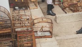 Polícia apreende 27 aves silvestres mantidas em cativeiro em AL