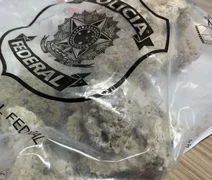 PF intercepta transporte ilegal de corais no aeroporto de Maceió