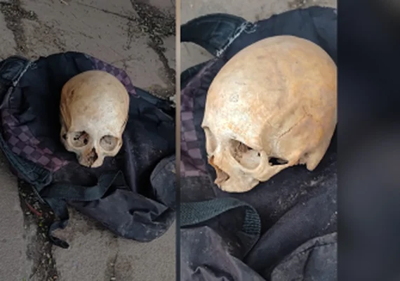 Crânio humano é encontrado dentro de mochila em parada de ônibus