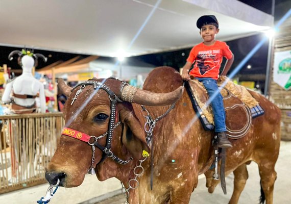 40ª Expo Bacia Leiteira promove domingo para criançada no Parque Mair Amaral