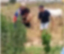 População agride suspeito após tentativa de assalto em Arapiraca