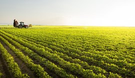 Caixa aumenta em 20% oferta de crédito rural