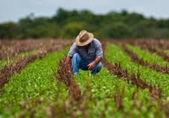Crédito ao agronegócio está em crescimento, diz Banco do Brasil