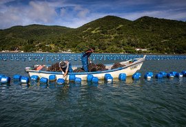 Atualização cadastral da Licença do Aquicultor tem prazo prorrogado para 2025