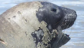 Comunidade de Lagoa Azeda rebate acusações após morte de Leôncio