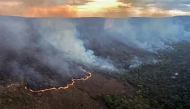 Brasil concentra 76% dos incêndios na América do Sul