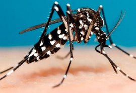 Bauru registra 6 mil casos de dengue em 2019