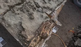 Arqueólogos encontram cão neolítico enterrado com adaga em ritual de 5.000 anos atrás