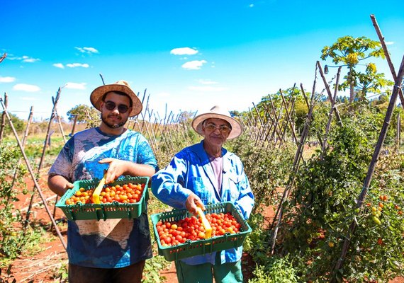 No Dia Internacional da Agricultura Familiar, trabalhadores compartilham emoção de produzir alimentos