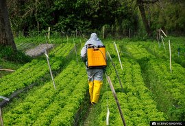 Agricultor precisa usar somente defensivos registrados para evitar prejuízos, diz especialista