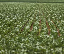 Reunião entre governo e bancada do agro termina sem acordo sobre dívidas rurais
