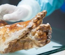 Micróbios de múmia de 5.300 anos podem ainda estar vivos