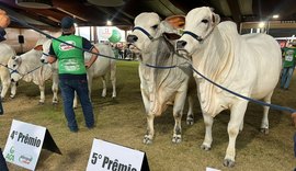Associação dos Criadores faz balanço positivo da75ª Expoagro-AL