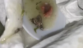 Ufal investiga relatos de vidro e barata encontrados em refeições do RU