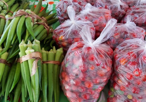 Nova edição da feira orgânica acontece nesta terça-feira (5)